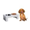 Height Small Puppy Dog Feeding Station for Messy Pets